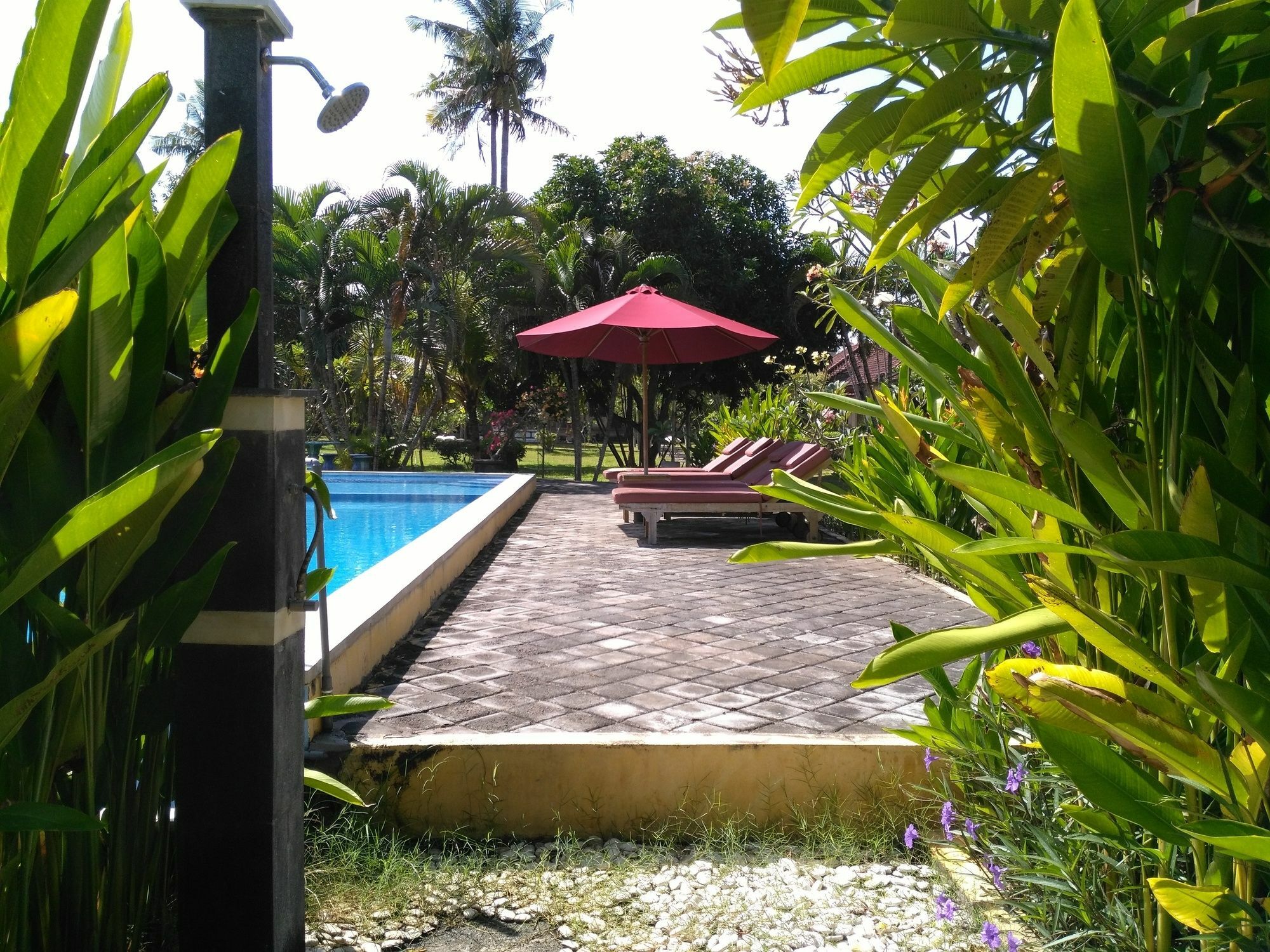 Mekar Jaya Bungalows กูตา ภายนอก รูปภาพ